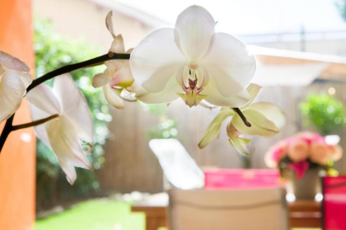 Ferienwohnung Le Riviera ~ Jardin ~ Parking ~ Climatisation Cagnes-sur-Mer Exterior foto